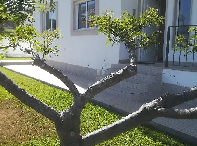 Appartement Camarção Violante