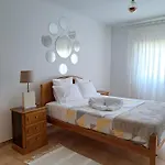 Camarcao Violante فوز دو أريلهو