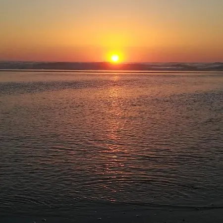 Camarcao Violante Foz do Arelho