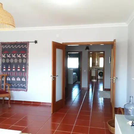 Camarcao Violante