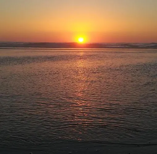 Camarcao Violante Foz do Arelho